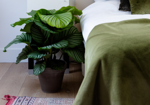 Calathea sfeer bedroom