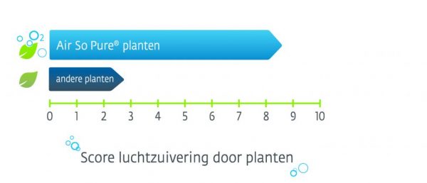 AIR SO PURE_ICOON_O2 METER - 2 PIJLEN_NEDERLANDS