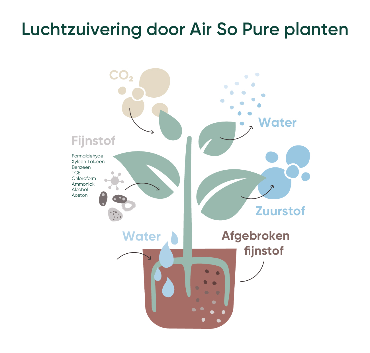 Luchtzuiverende werking